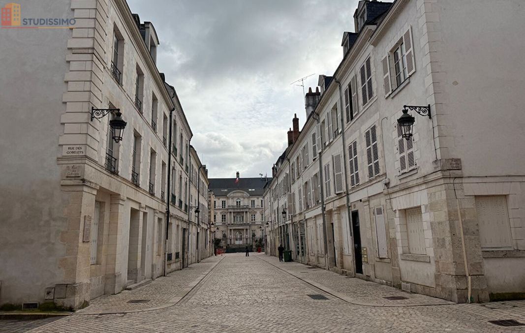 Studio 39m² Orléans - DPE C, 1er étage - Photo 1
