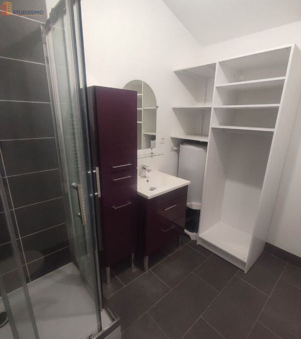 Studio 28m² La Chapelle-Saint-Mesmin - sans caractéristique - Photo 3