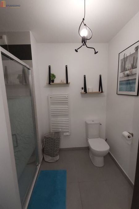 Studio 22m² Villeurbanne - Meublé, DPE D - Photo 3