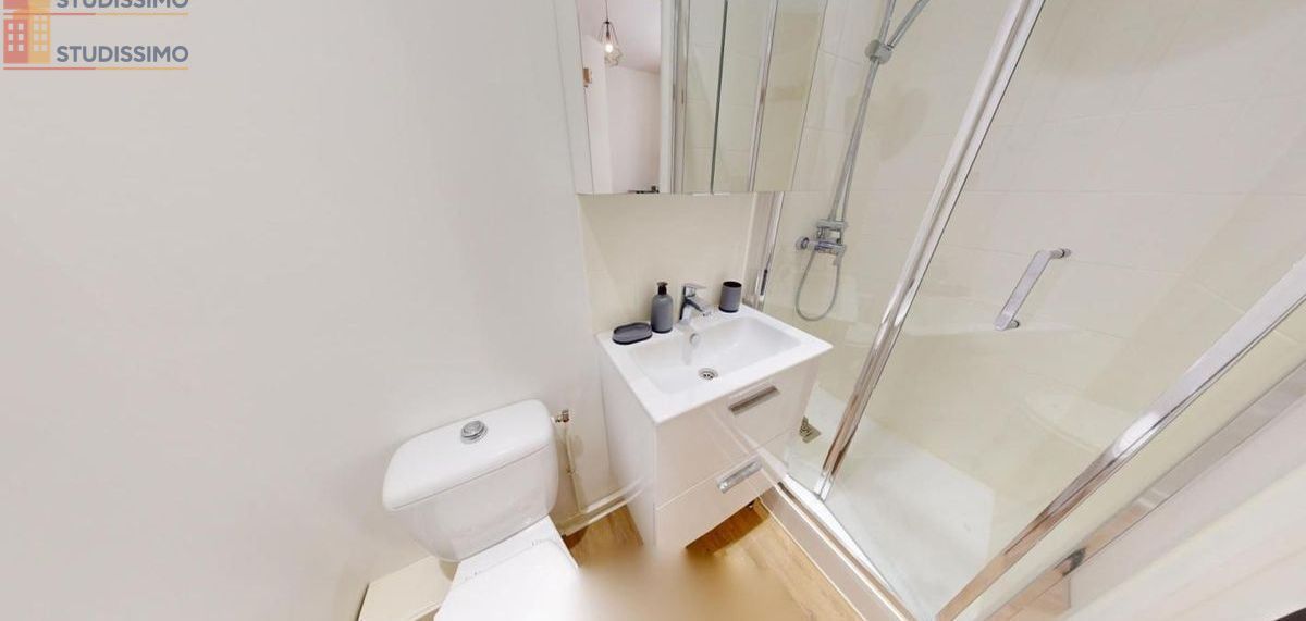 Studio meublé 15m² Lyon 7e - Meublé, DPE C - Photo 3