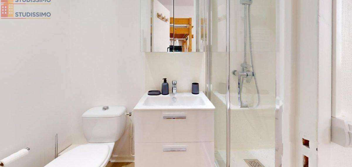 Studio meublé 15m² Lyon 7e - Meublé, DPE C - Photo 1