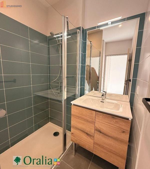Studio meublé 27m² Tarare - Meublé, DPE C - Photo 4