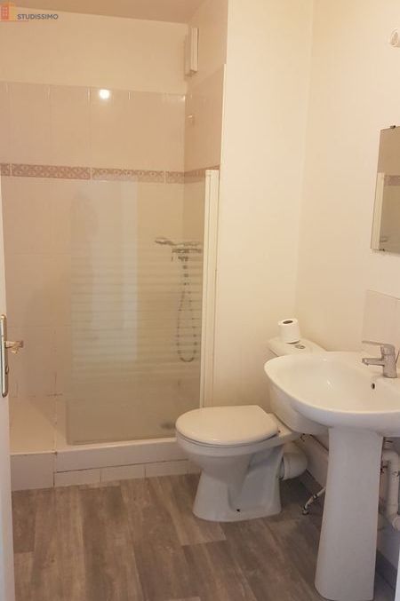 Studio 29m² Saint-Jean-de-Braye - Rez-de-jardin, calme - Photo 1