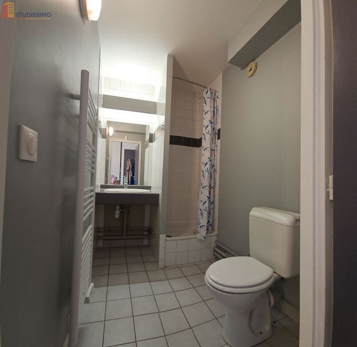 Studio meublé 28m² Lyon 7e - Étage élevé, DPE C - Photo 1
