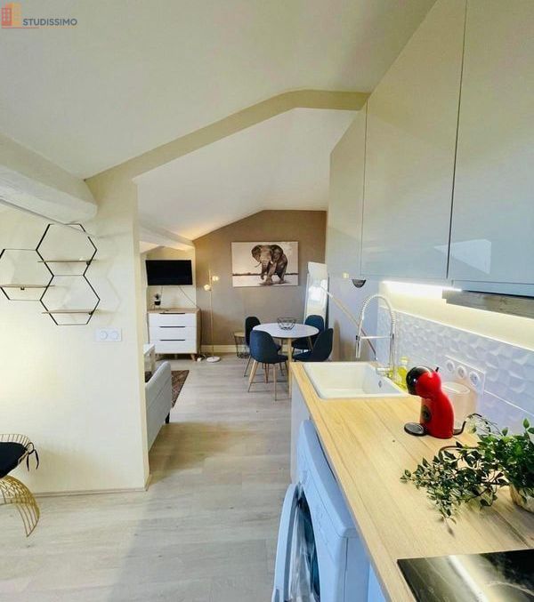 Studio meublé 38m² Lyon 7e Gerland - Lumineux, dernier étage - Photo 2