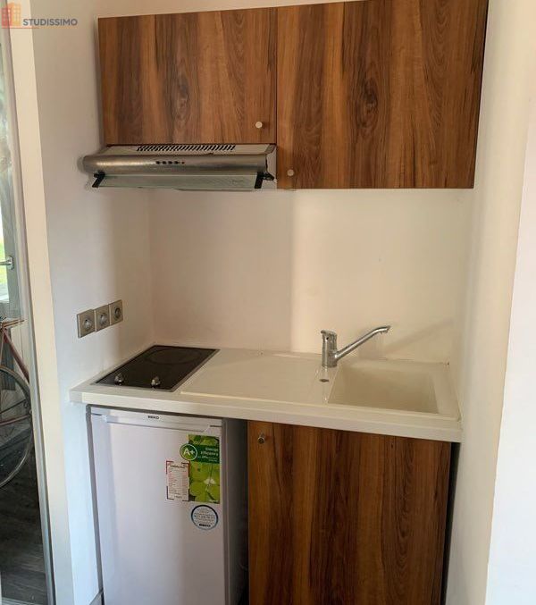 Studio meublé 19m² Lyon 8e - Meublé, DPE C - Photo 2