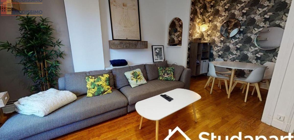 Studio meublé 9m² Lyon 3e - Calme, lumineux - Photo 4
