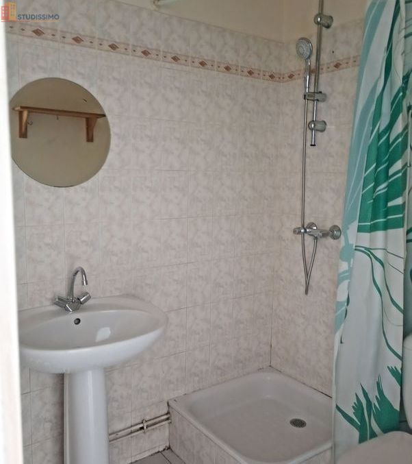Studio 17m² Lyon 2e Perrache - Refait à neuf, kitchenette équipée - Photo 2