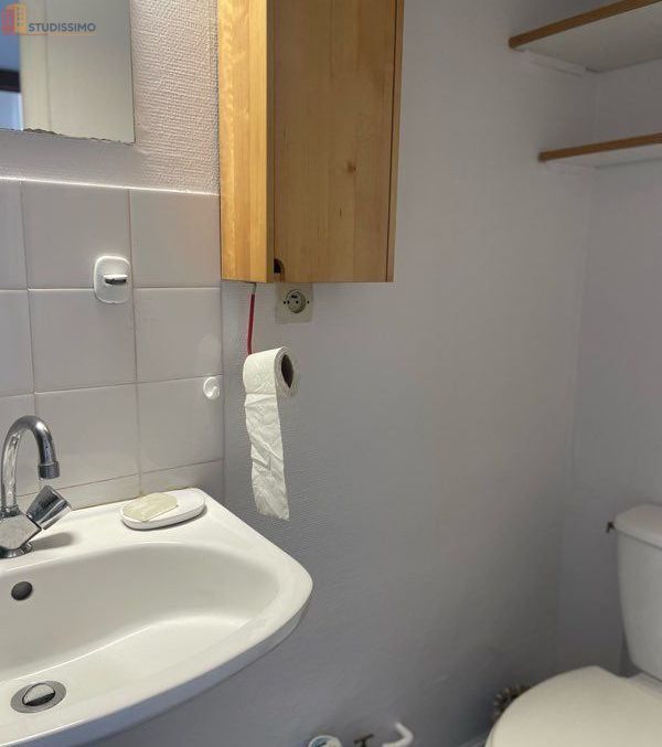 Studio meublé 20m² Écully - Mezzanine, au 2e étage - Photo 1