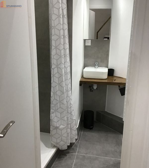 Studio meublé 27m² Lyon 5e - Proche Place Saint-Paul - Photo 2