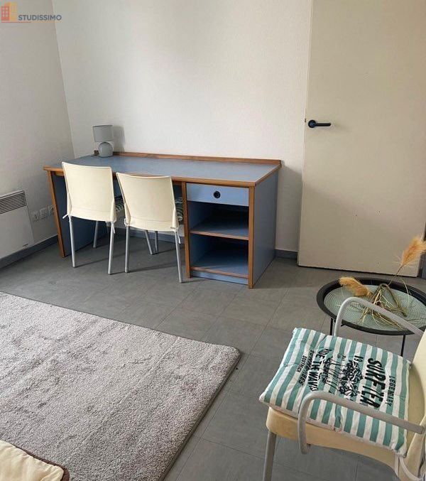 Studio meublé 19m² Lyon 7e - Balcon, lumineux - Photo 2