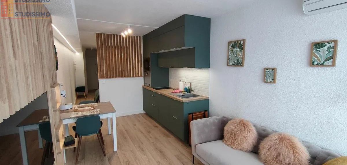 Studio à Lyon