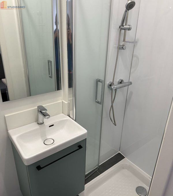 Studio meublé 18m² Larajasse - Rénové, meublé - Photo 1