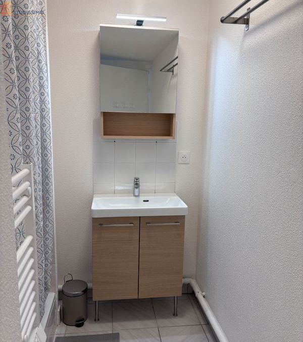 Studio meublé 31m² Villeurbanne - Refait à neuf, garage - Photo 1