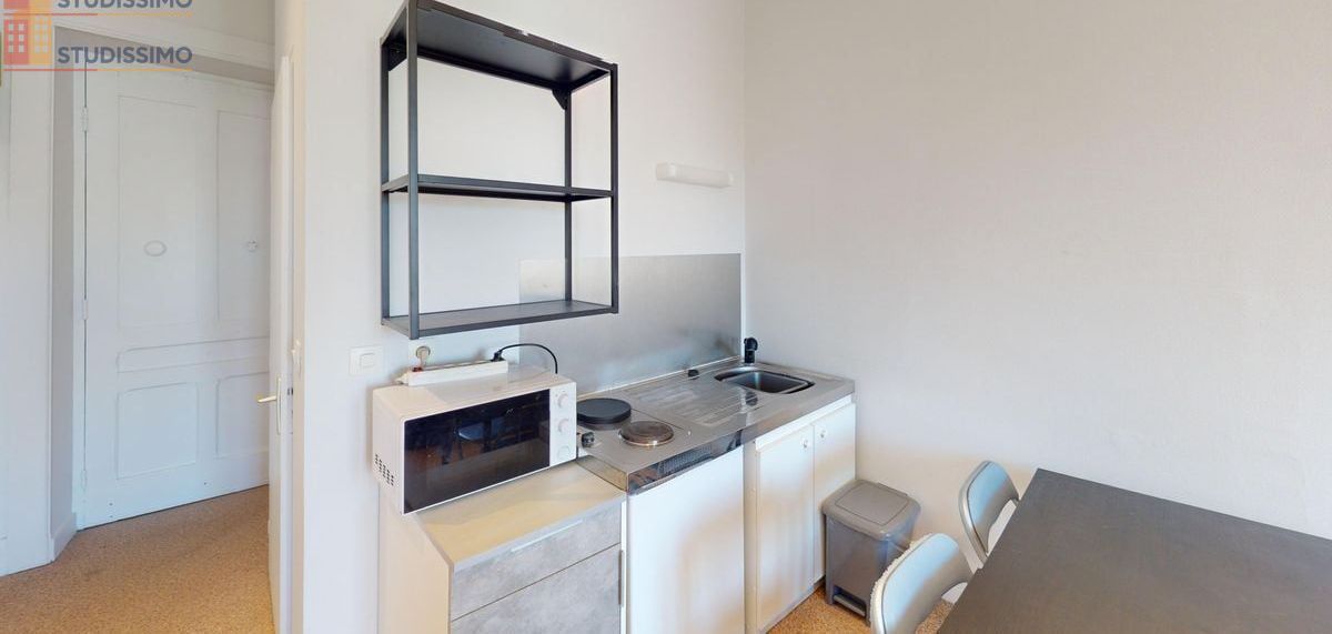 Studio meublé 20m² Villeurbanne - Dernier étage, lumineux - Photo 4