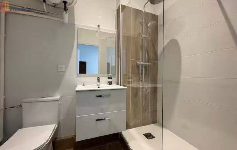 Studio meublé 40m² Écully - Plein centre, meublé - Photo 1
