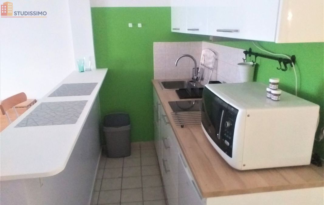 Studio meublé 27m² Lyon 7e - Meublé, 3e étage - Photo 15