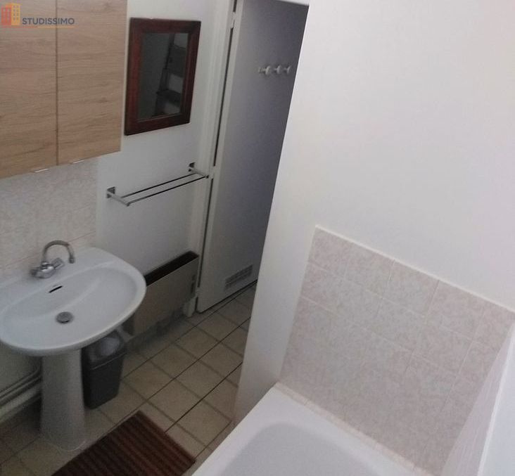 Studio meublé 27m² Lyon 7e - Meublé, 3e étage - Photo 5