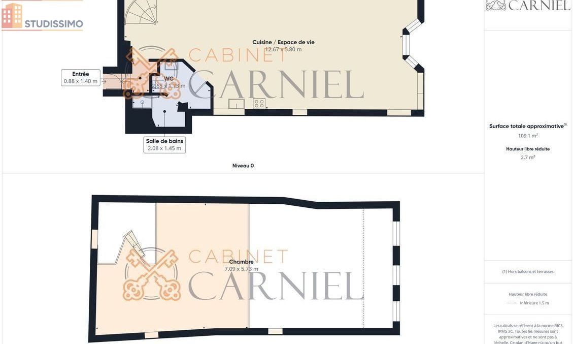 Studio 98m² Casteljaloux - Loft/atelier, belle surface - Photo 1