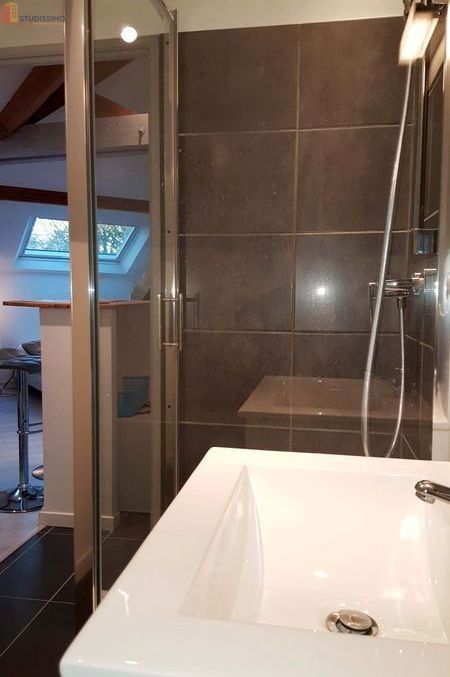Studio meublé 27m² Limonest - Mansardé, lumineux - Photo 1