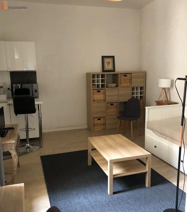 Studio 28m² Lyon 6e Saint-Pothin - Meublé, lumineux - Photo 9
