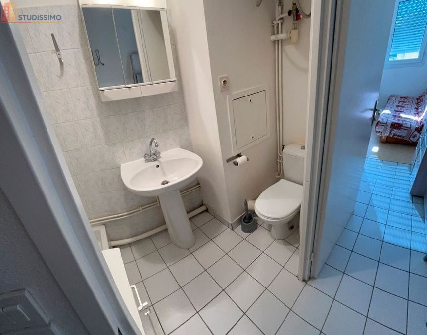 Studio 21m² Lyon 7e - Meublé, lumineux - Photo 1