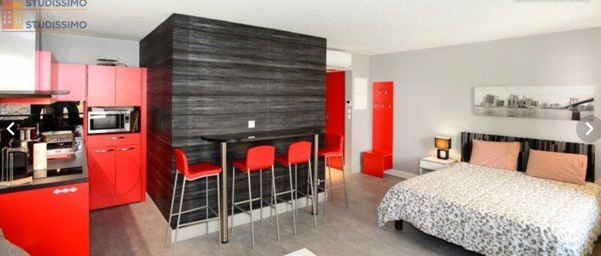 Studio meublé 31m² Lyon 3e - Lumineux, meublé - Photo 4
