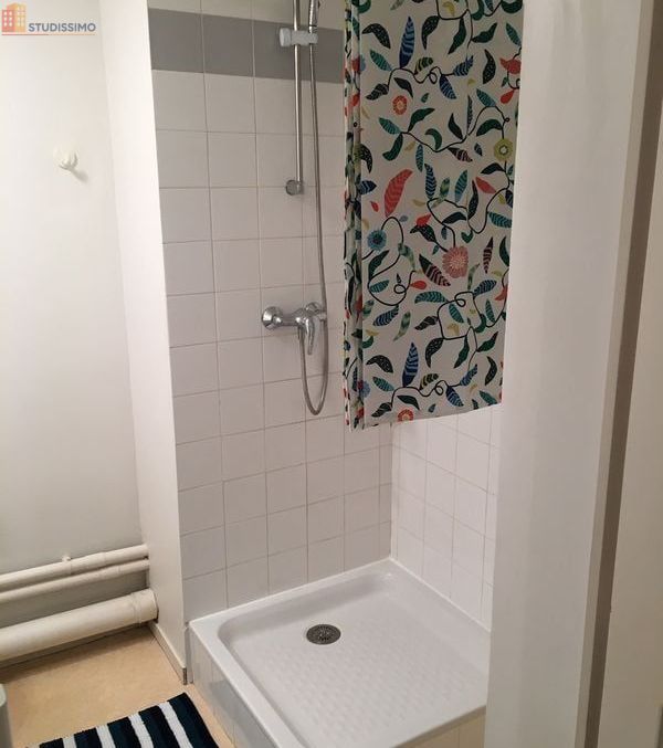 Studio meublé 19m² Lyon 3e Montchat - Meublé, 4e étage - Photo 1