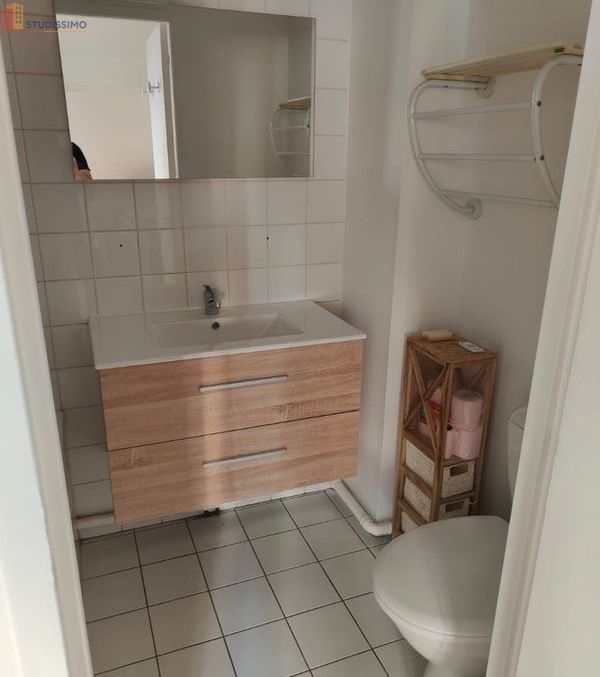 Studio 16m² Lyon 7e - Meublé, dernier étage - Photo 2