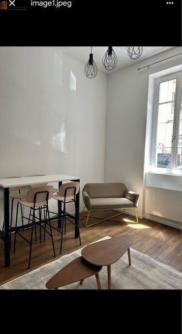Studio meublé 29m² Lyon 7e - Lumineux, équipé - Photo 2