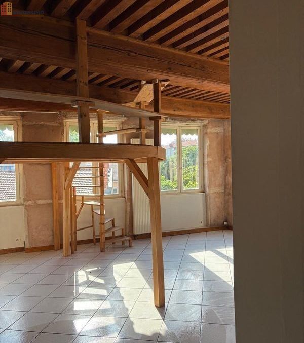 Studio 42m² Lyon 1er Croix-Rousse - Grand volume, dernier étage - Photo 2