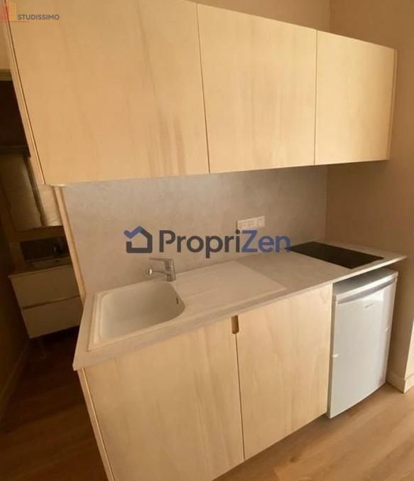 Studio meublé 18m² Lyon 3e - Meublé, DPE D - Photo 1