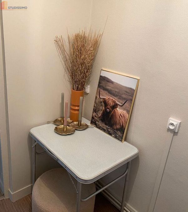 Studio meublé 16m² Rouen centre - Meublé, 1er étage - Photo 8