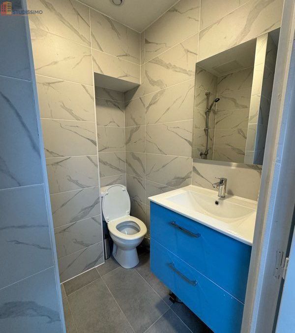 Studio meublé 26m² Lyon 4e Croix-Rousse - Lumineux, dernier étage - Photo 1