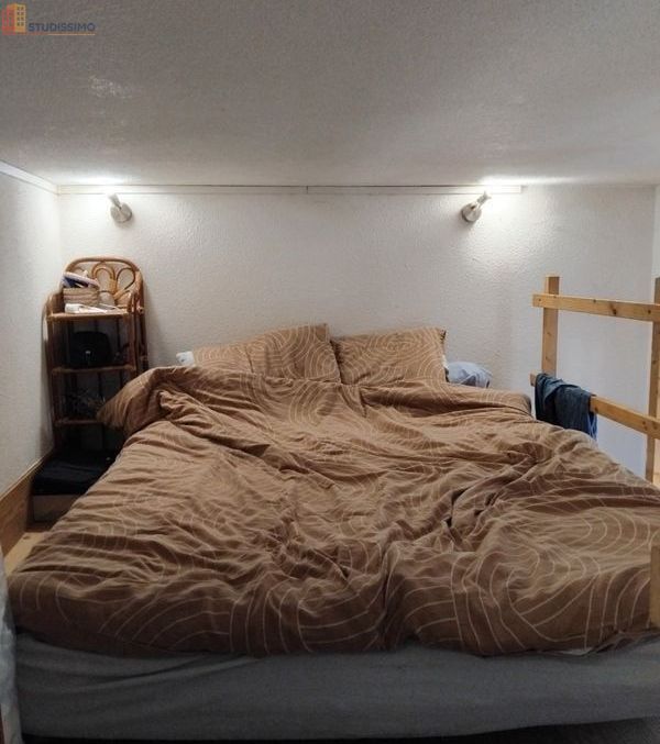 Studio meublé 20m² Lyon 3e - Meublé, DPE C - Photo 1