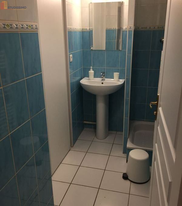 Studio meublé 24m² Lyon 9e - Calme, lumineux - Photo 1