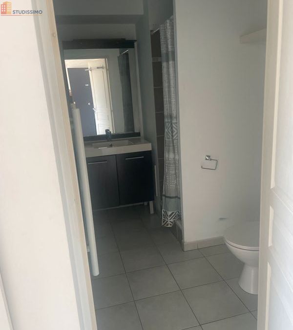 Studio meublé 33m² Vaulx-en-Velin - Proche Hôtel de Ville - Photo 1