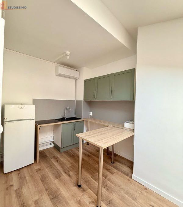 Studio 35m² Caluire-et-Cuire - Refait à neuf, climatisé - Photo 2