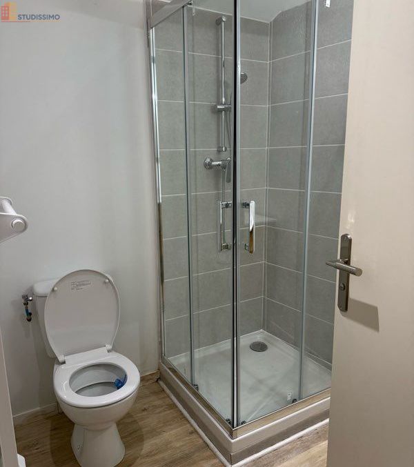 Studio meublé 28m² Courzieu - Meublé, DPE C - Photo 1
