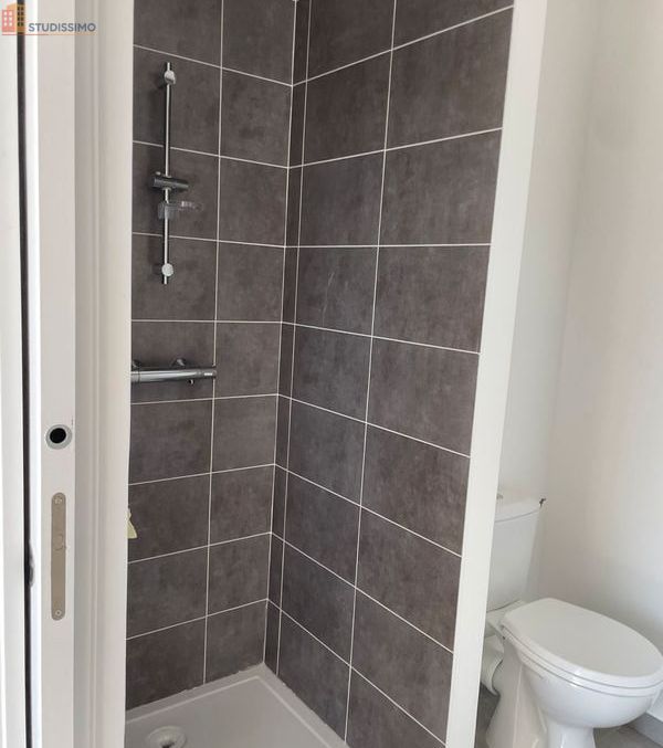 Studio meublé 20m² Lyon 7e - Proche Jean Macé, lumineux - Photo 2