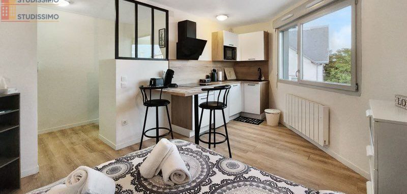 Studio meublé 22m² Villeurbanne - Rénové, proche campus de la Doua - Photo 2