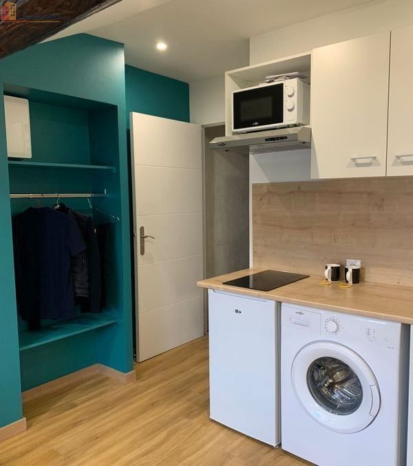 Studio 15m² Lyon 7e - Meublé, lumineux - Photo 2