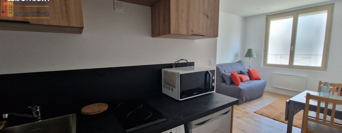 Studio meublé 18m² Oullins-Pierre-Bénite - Équipé, lumineux - Photo 3