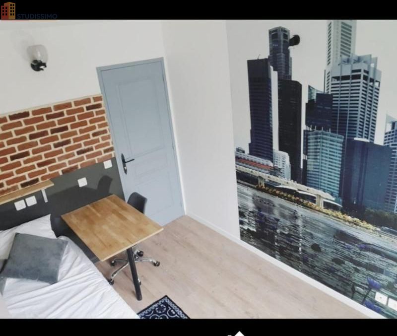 Studio meublé 10m² Rouen 76100 - Meublé, DPE C - Photo 6