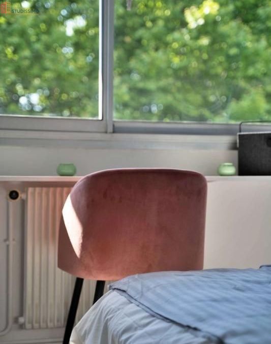 Studio 11m² Villeurbanne - Meublé, lumineux - Photo 4