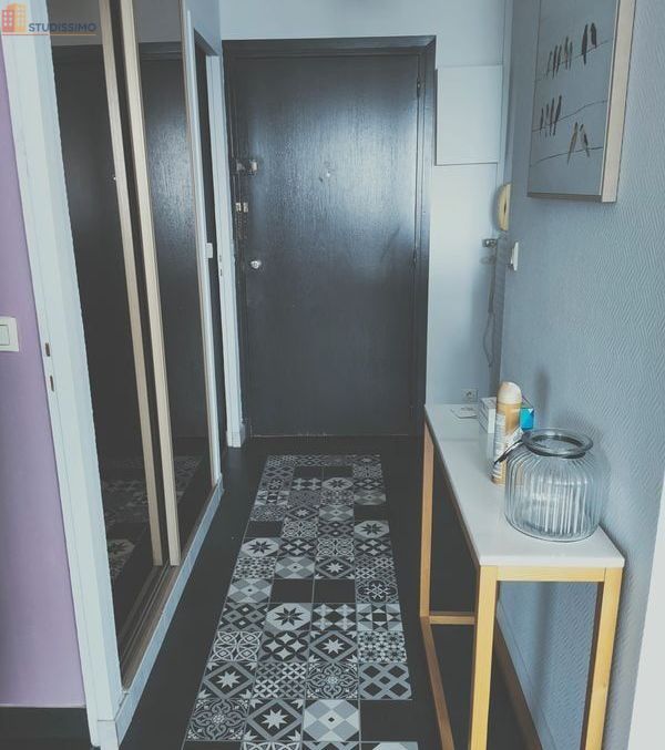 Studio meublé 40m² Lyon 7e - Étage élevé, lumineux - Photo 2