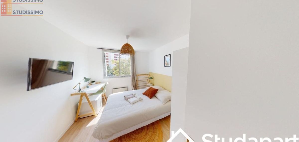 Studio meublé 9m² Villeurbanne - Meublé, DPE D - Photo 3