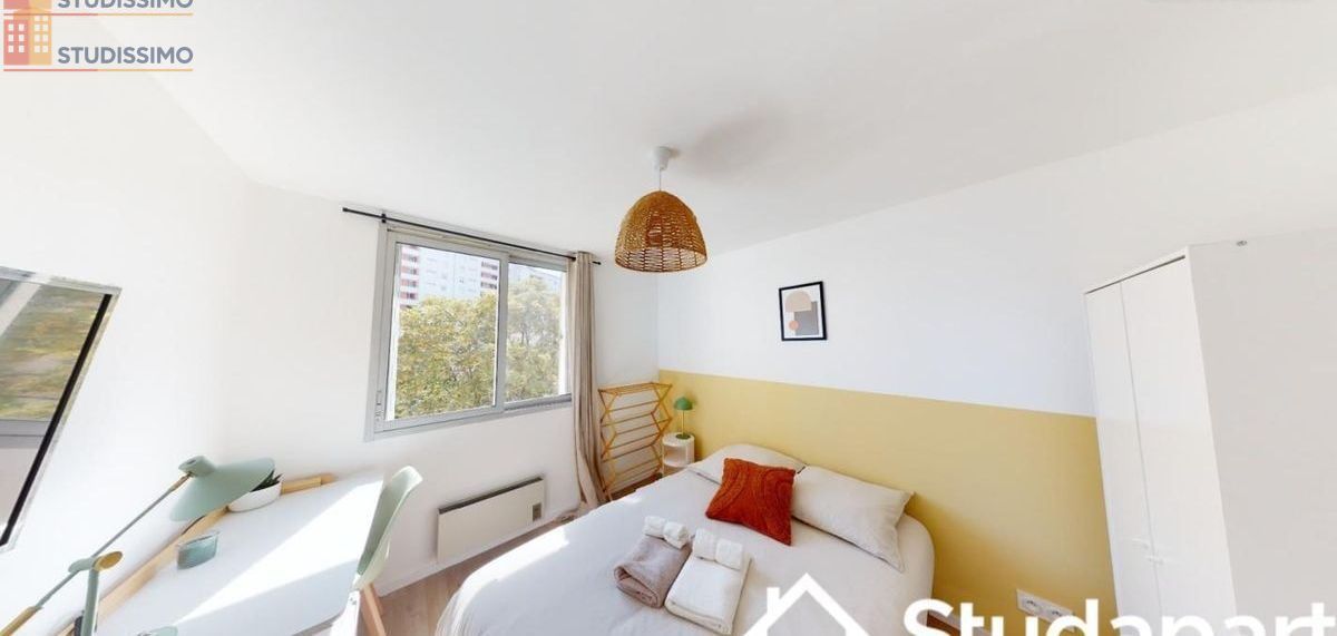 Studio meublé 9m² Villeurbanne - Meublé, DPE D - Photo 2