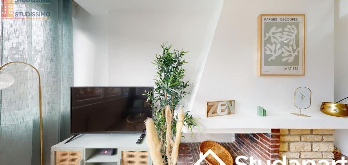 Studio meublé 12m² Rouen 76000 - Lumineux - Photo 9