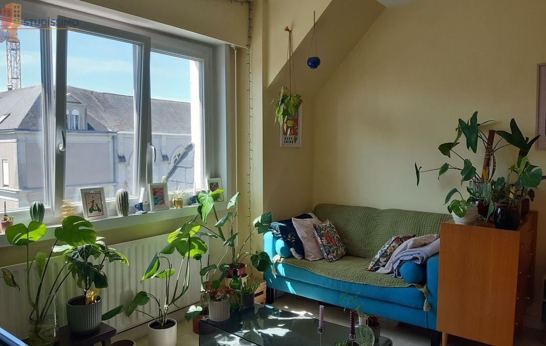 Studio à Angers